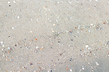 Sand and shell Background for design