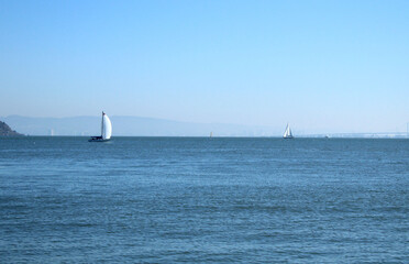 Fototapeta premium Sailboats share the calm waters of the San Francisco Bay on a sunny day. The Golden Gate Bridge can be seen in the distance.