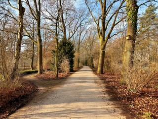 country road in autumn