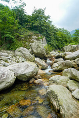 Forest and stream of Baima Grand Canyon, Heavenly Village, Lu 'an, Anhui, China