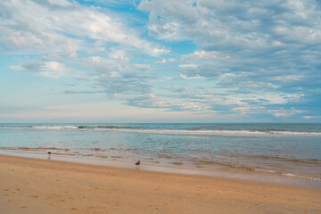 Peaceful beach with gentle waves and soft clouds above.