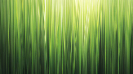 tall green grass blades with a soft diffused light effect creating a fresh organic and visually calming natural abstract composition
