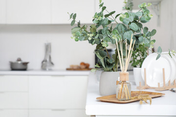 Reed diffuser, essential oil and vase with eucalyptus on counter in kitchen, closeup