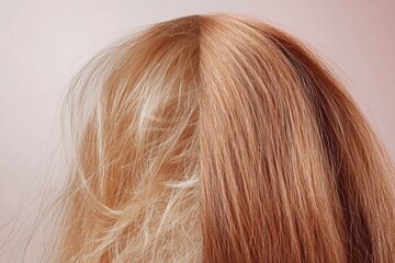 Fototapeta premium Comparison of damaged dull hair versus shiny healthy hair strands revealing differences in texture and appearance. Generative AI