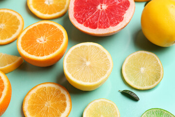 Different cut citrus fruits and leaf on turquoise background