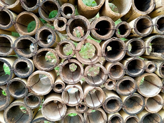 Modular bamboo arranged into a natural decorative partition.