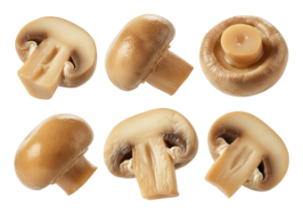 Six canned button mushrooms on transparent background, shown in various cuts and angles
