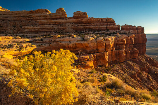 USA, Utah, Bear's Ears National Monument. Yellow rabbitbrush and rock formation.