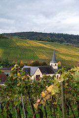 Naklejka premium Aerial view of terraced vineyards around Nittel, Rhineland-Palatinate, Germany and views across Moselle River on vineyard hills of Machtum, Luxembourg