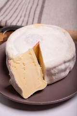 Cheese collection, French reblochon de savoie gratin cow milk cheese close up
