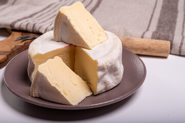 Cheese collection, French reblochon de savoie gratin cow milk cheese close up