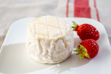 Cheese collection, soft sheeps milk brebis French cheese with mold produced on cheese farm in Basque Country in France