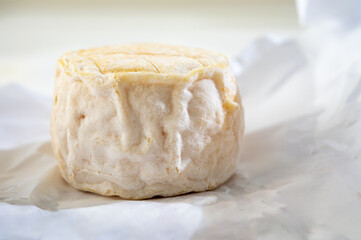 Cheese collection, soft goat French cheese with mold crottin de Chavignol produced near Sancerre on cheese farm, Loire Valley close up