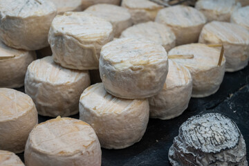 French goat cheeses fresh and crottin chavignol, made from unpasteurised goat milt, different taste on farmers market in Biarritz, France