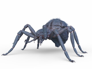 蜘蛛　3DCGレンダリング