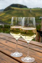 Glasses of white dry riesling wine made on Moselle river valley in Germany or Luxembourg, view on terraced vineyards