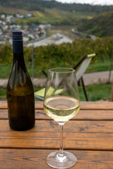Glasses of white dry riesling wine made on Moselle river valley in Germany or Luxembourg, view on terraced vineyards