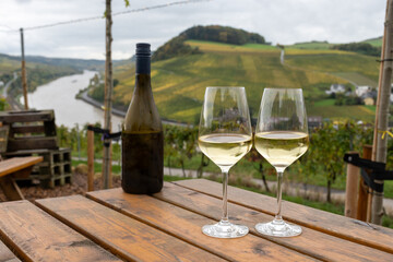 Glasses of white dry riesling wine made on Moselle river valley in Germany or Luxembourg, view on terraced vineyards