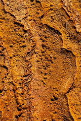 USA, Utah. Crystal Geyser, a cold water geyser, travertine geological formation, near Green River.