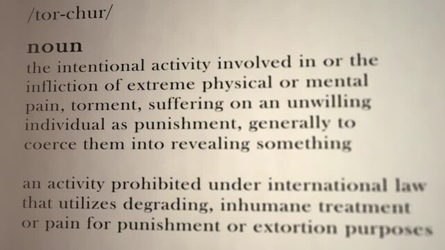 Torture Definition