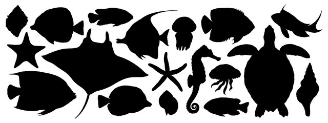 Black silhouette illustrations of various tropical fishes, starfishes, seashells, jellyfishes and sea turtle isolated on transparent background