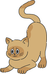 샴고양이