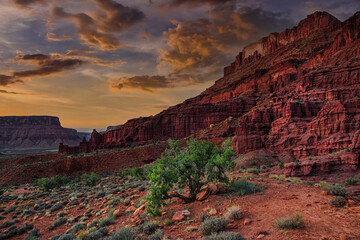 Fototapeta premium Fisher Tower outside Moab Utah.