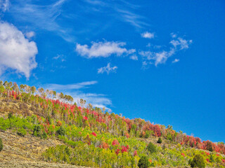 USA, Utah, Logan Pass. Colorful autumn in Provo Pass