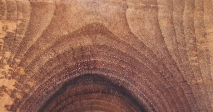 walnut wood with annual rings close up, processed for decoration a section of the trunk of a walnut tree with damage