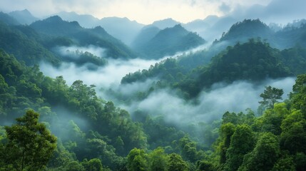 Exploring lush green mountains misty valley nature photography serene environment scenic viewpoint tranquil beauty
