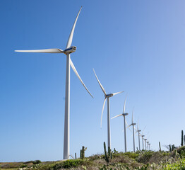 A series of towering wind turbines stand amidst lush greenery and a cactus under a bright blue sky....