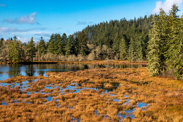 O'Neill Lake at Cape Disappointment State Park, Washington State, USA.