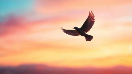 Bird soaring gracefully against colorful sunset sky