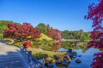 青空バックに見る静寂に包まれた秋の日本庭園の情景