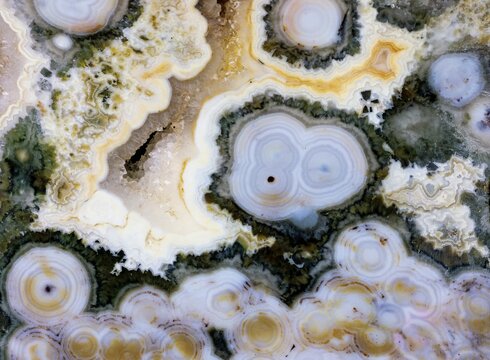 USA, Washington State, Sammamish. Ocean jasper close-up