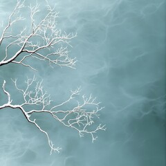 Frost-covered tree branches against a misty blue sky, winter nature concept