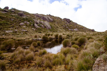 Small pond surrounded by grass in a rocky landscape, Itatiaia.