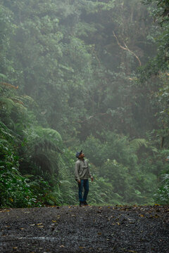 Person exploring a cloud forest