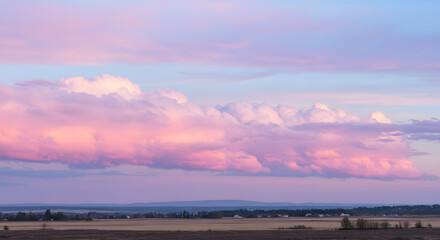 Obraz premium Soft pastel sunrise with delicate pink, lavender, and baby blue clouds stretching across the sky