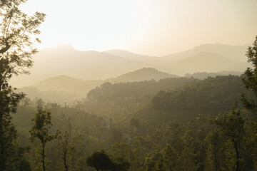 Enigmatic Misty Mountains at Dawn 