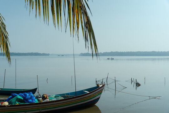 Tranquil Lake View Through Palm Leaves