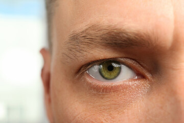 Closeup view of man with green eyes