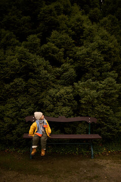little boy sitting on a bench in nature