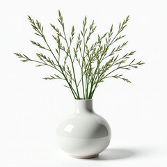 Glimpse of a Glossy White Vase Accentuated by Vibrant Green Leaves on a Clean White Background
