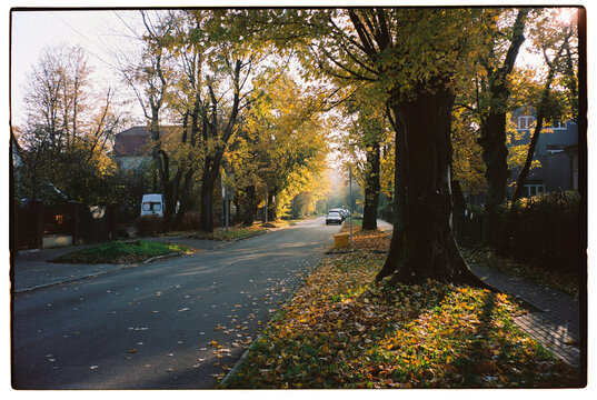 Kaliningrad city street at autumn time.
