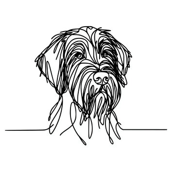 Wirehaired pointing griffon dog head continuous line art drawing silhouette illustration