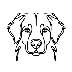 Nova scotia duck tolling retriever face line art illustration, dog head outline vector design element	