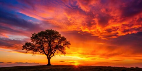 Sunset's fiery hues illuminate a solitary tree, stark against the barren landscape.