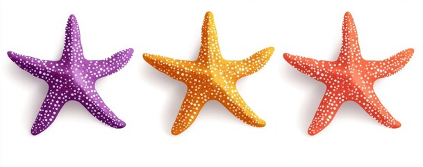 Colorful starfish trio on white, summer design element