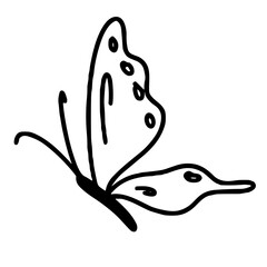 black butterfly vector illustration